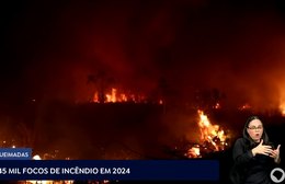 Queimadas: 145 mil focos de incêndio em 2024