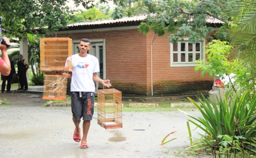 Aves de Cláudio Santos, o famoso Papa Capim, são entregues ao Cetas