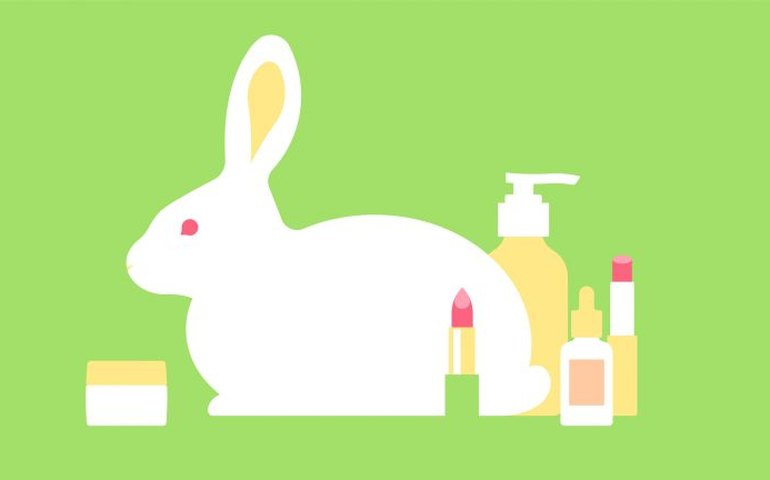 Câmara aprova lei que proíbe uso de animais em testes de cosméticos em 2025