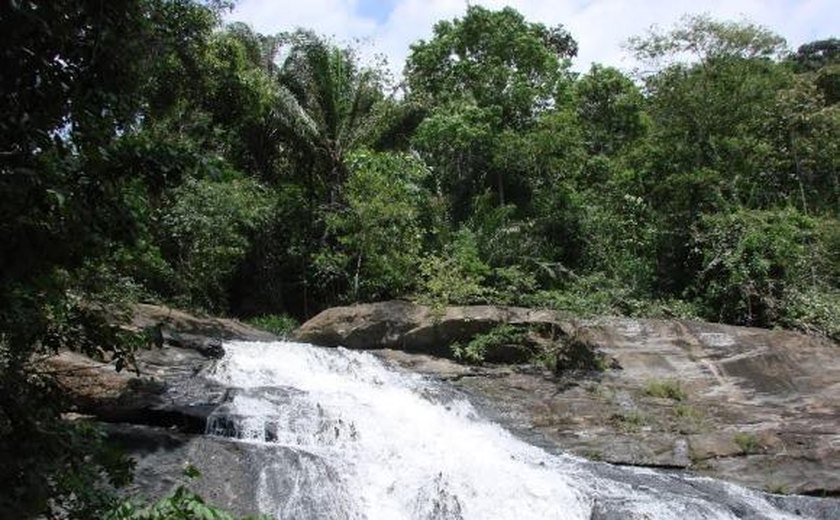 Alagoas é destaque em programa ambiental da Unesco