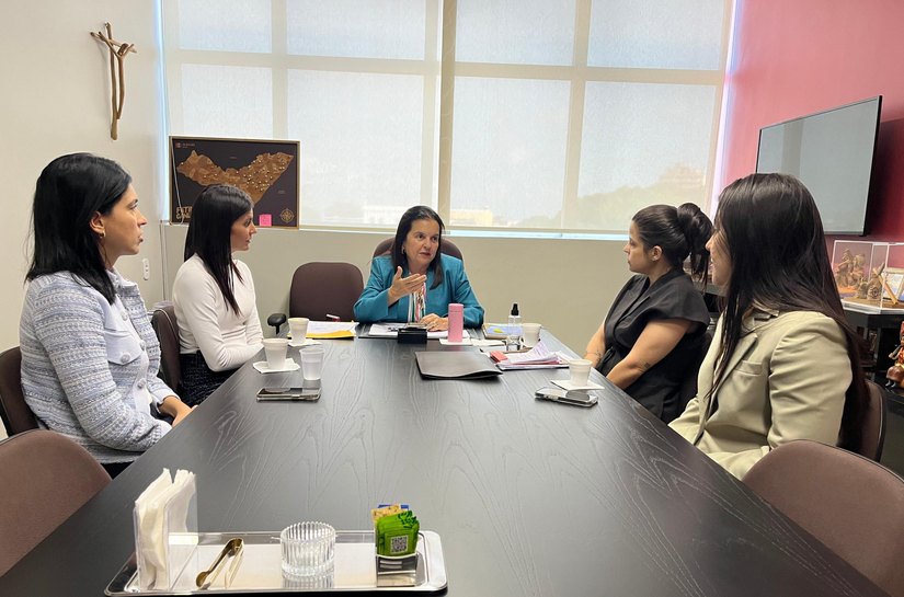Secretaria da Mulher debate violência doméstica com bancada feminina da ALE