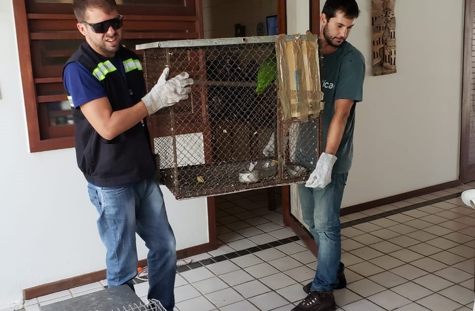ANIMAIS APREENDIDOS / Foto: Ascom/ Sedurbs