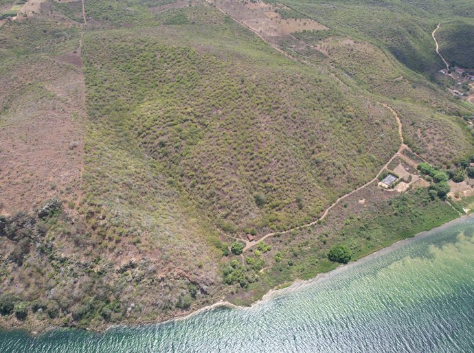 Dia Nacional das RPPNs: Alagoas celebra papel das reservas para a proteção do meio ambiente