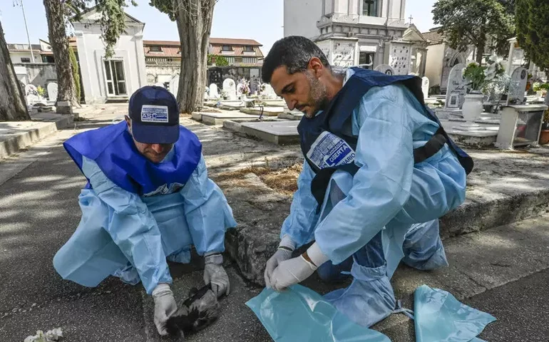 Itália registra mais 2 mortes por febre do Nilo Ocidental