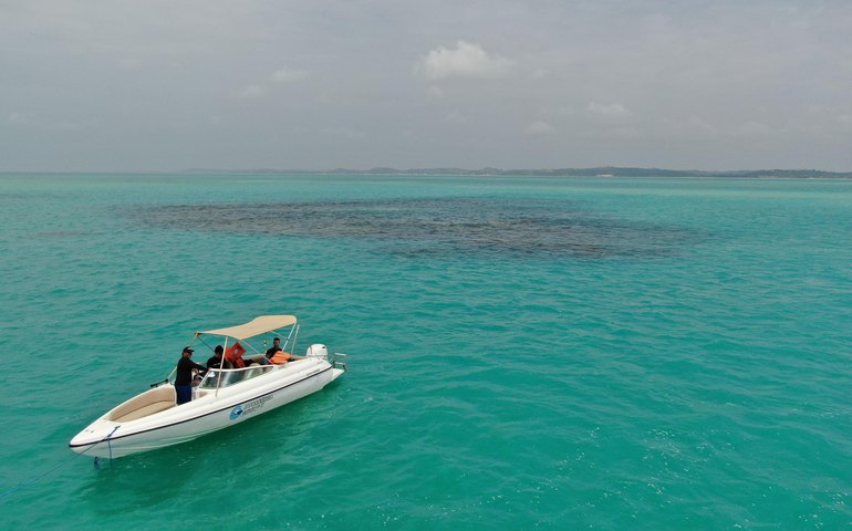 Fapeal impulsiona pesquisa sobre recifes de corais e contribui para a conservação marinha em Alagoas