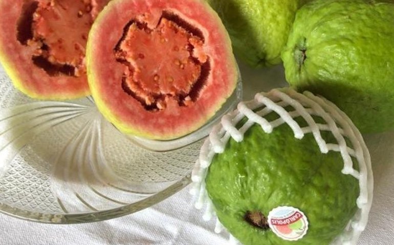 Consumo regular de suco de goiaba pode ajudar a reduzir o risco de anemia em mulheres, sugerem evidências