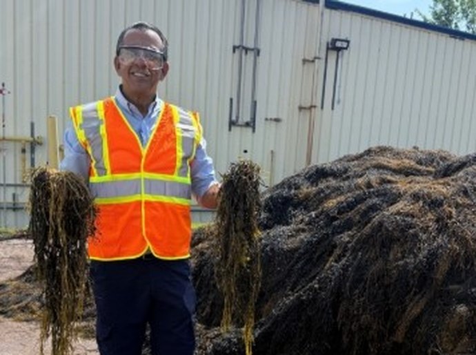 “Biologia a serviço da produtividade”, afirma Sérgio Abud sobre uso de extrato de algas na agricultura