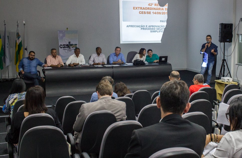 ses processo simplificado