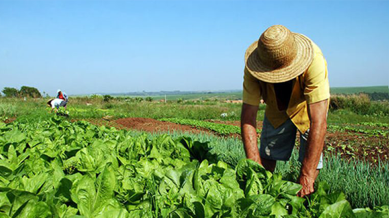 Incra lança plataforma on-line para agilizar reforma agrária no País