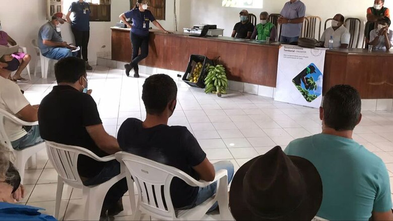 Prefeito de Branquinha se reúne com produtores de laranja e banana do município