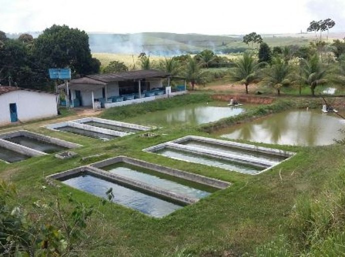 Seagri e município de Rio Largo retomam ações na área de aquicultura