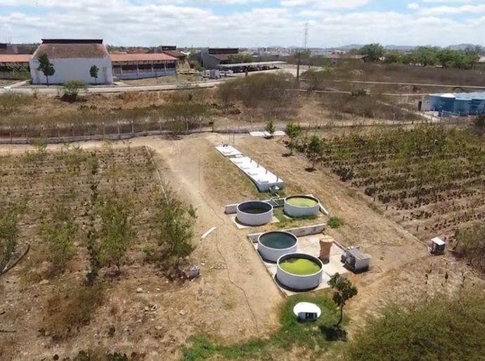 Tecnologia transforma esgoto em água para produzir alimentos no Semiárido