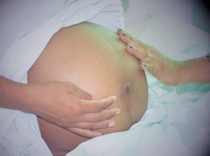 Sesau promove Seminário sobre o Zika Vírus no Manejo do Pré-Natal
