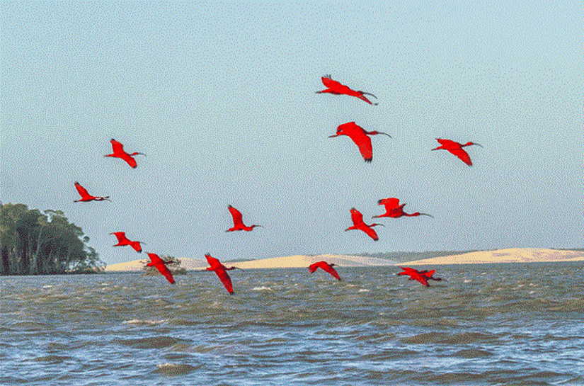 As belezas do litoral do Piauí e do Delta do Parnaíba
