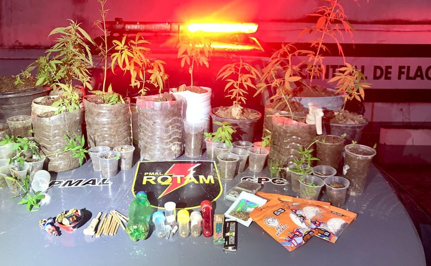 PM apreende 37 pés de maconha dentro de residência em Satuba