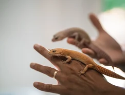 WhatsApp Image 2026-04-22 at 11.09.11.jpeg 