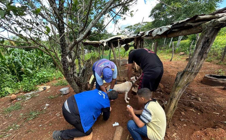 Sesau promove treinamento sobre vigilância da peste e hantavirose para técnicos municipais