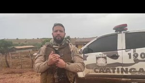 Operação Zebu interrompe roubo de gados no interior da Bahia e Sergipe; Confira.jpg