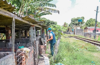UVZ realiza ação zoossanitária em pocilgas irregulares de Maceió