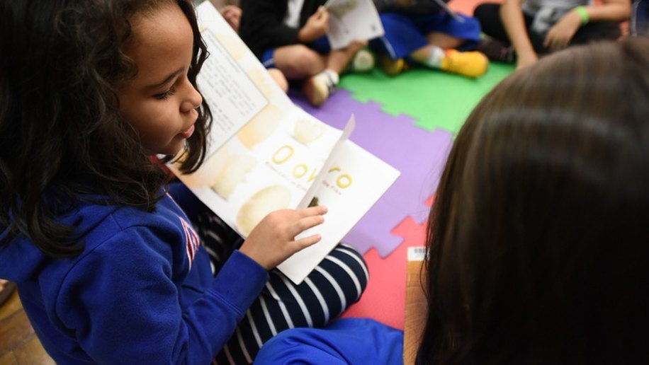 Livros: escolas públicas de educação infantil podem escolher acervo de 2027-2029