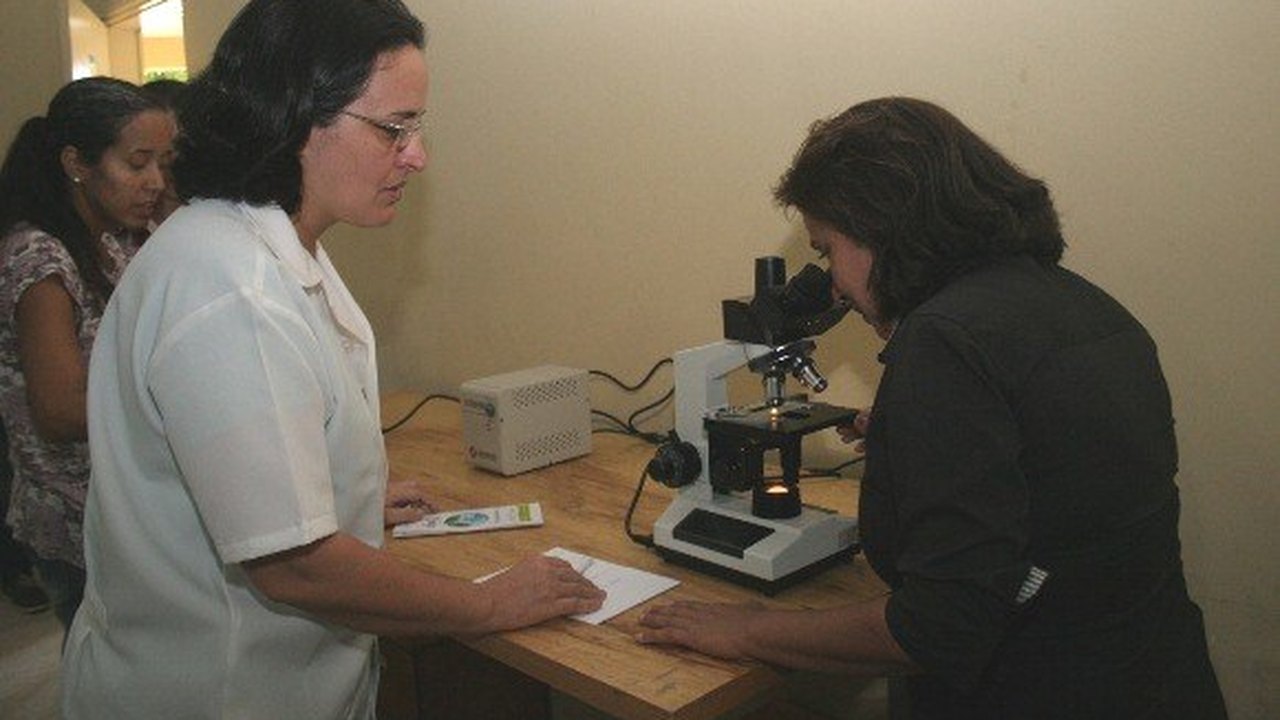 Professores participam de oficinas sobre microscopia e célula vegetal