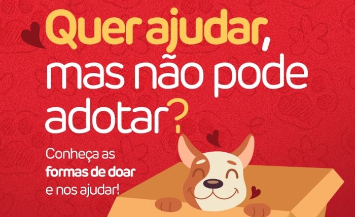 ONG Pata Amada ONG Pata Amada