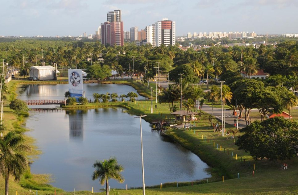 Dez gatos são encontrados mortos no Parque Augusto Franco em Aracaju