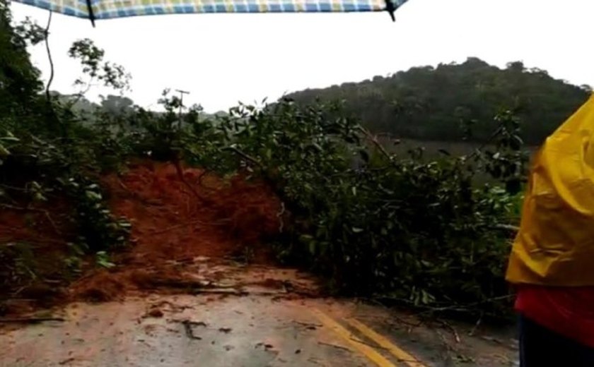 Chuvas intensas provocam alagamentos e deslizamentos na Zona da Mata e Litoral