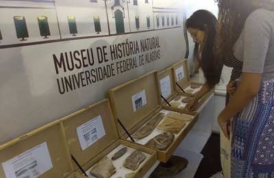 Museu de História Natural comemora 32 anos de história e conquistas
