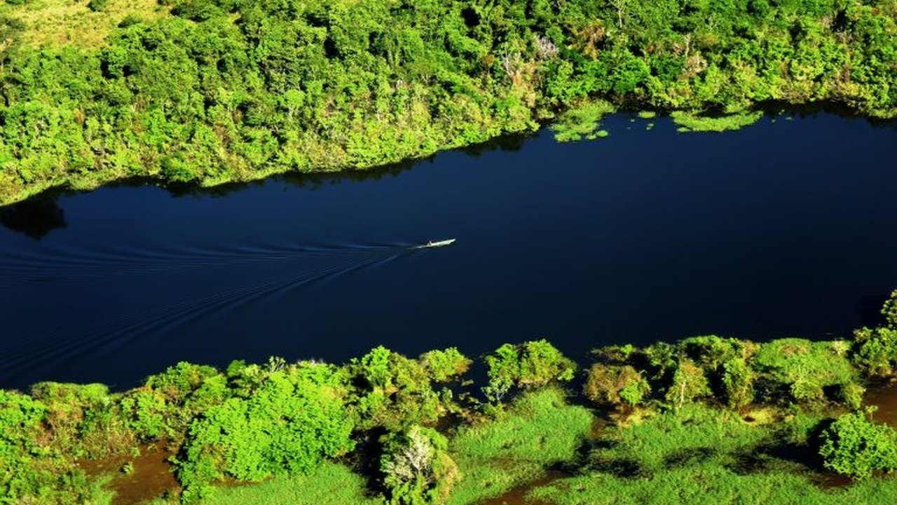 Cúpula da Amazônia pode ter meta comum para eliminar o desmatamento ilegal