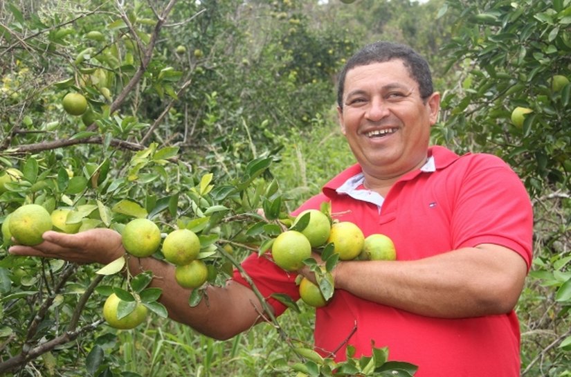 Evento pode ajudar Alagoas a melhorar fruticultura e trazer investidores