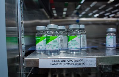 UPA de Coruripe é referência regional no atendimento a vítimas de animais peçonhentos