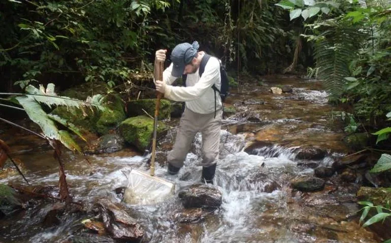 Conhecer a memória ecológica de rios e riachos é essencial para planejar conservação, mostra pesquisa do Instituto de Biociências de Rio Claro