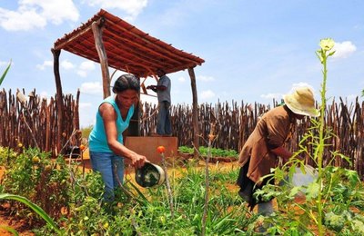 IBGE e Seplag: Alagoas foi o Estado do Nordeste menos afetado pela crise econômica