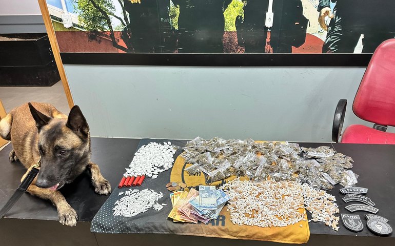 PM apreende cerca de 2 mil pedras de crack, munições e outras drogas em Palmeira dos Índios