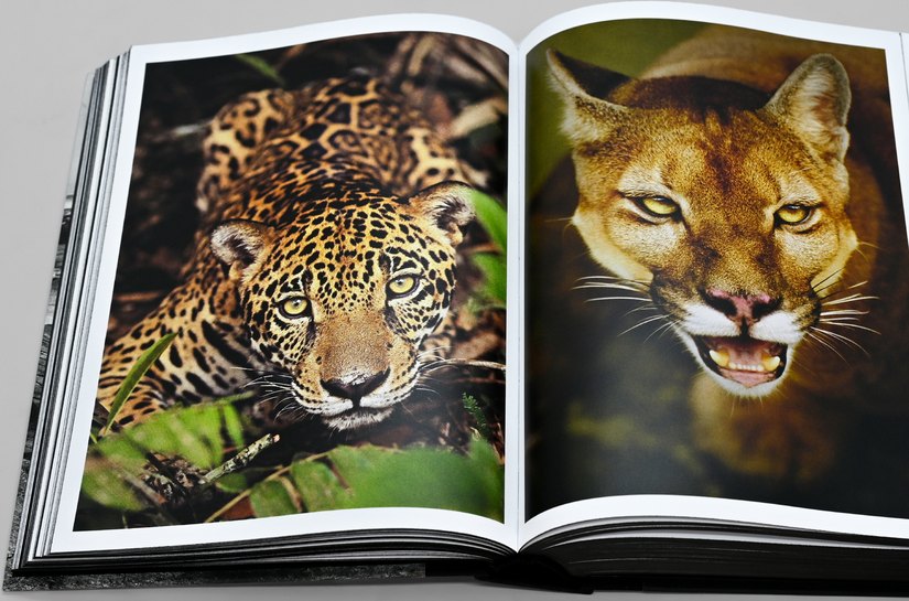 Araquém Alcântara, um dos pioneiros da fotografia de meio ambiente no Brasil, lança obra-manifesto, uma crônica visual da beleza e do horror