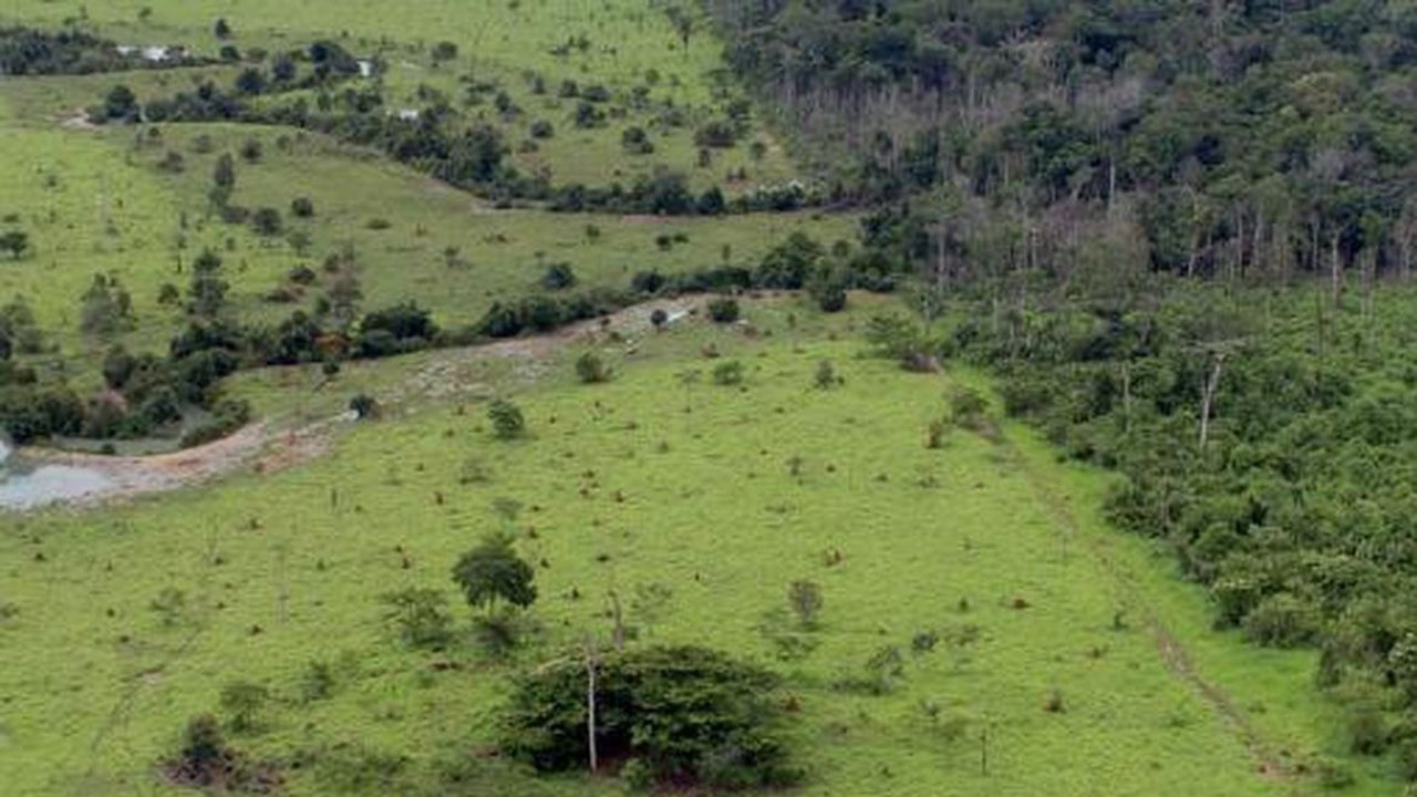 Aberto o prazo para entrega da Declaração do Imposto Territorial Rural