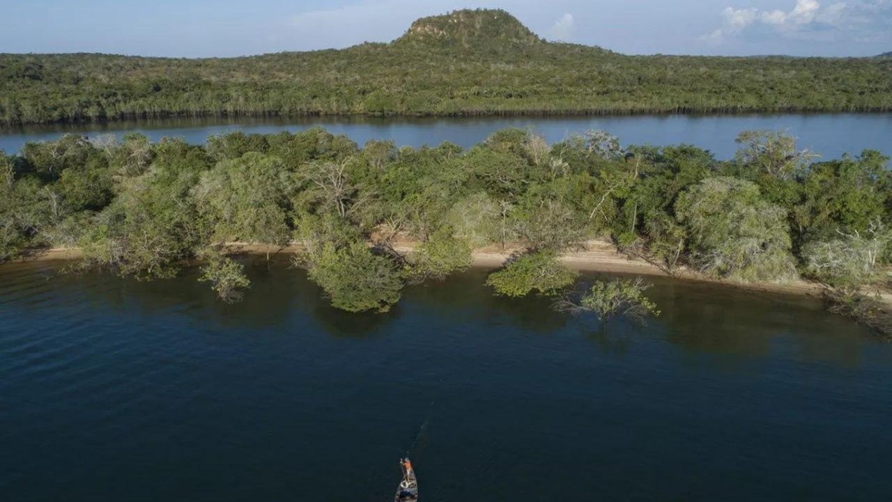 Incêndios podem reduzir capacidade da Amazônia de absorver carbono, aponta estudo