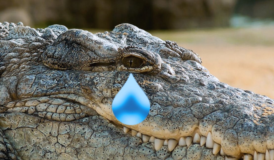 A inauguração do açude e as lágrimas de crocodilo