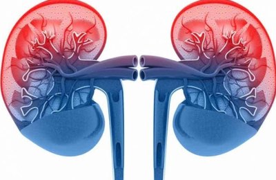 Saúde abre inscrições para curso sobre cuidados com pacientes renais