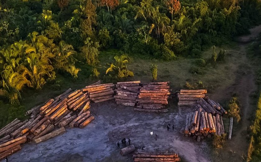 Desmatamento no Cerrado cai 25% em um ano; Amazônia tem queda de 30%