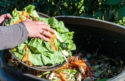 Processo de compostagem contribui para reutilizar rejeitos e resíduos