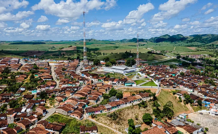 novo lino