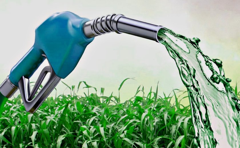 Brasil quer aumentar capacidade de produção de biocombustíveis