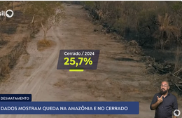 Dados mostram queda do desmatamento no Cerrado e na Amazônia