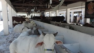 Feira Agropecuária de Sergipe será realizada no Parque de Exposições em Aracaju