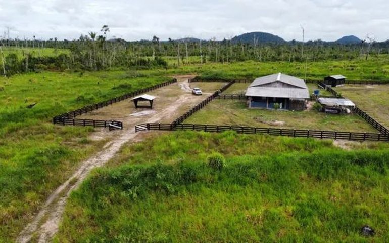 Fazenda onde ex-senador Telmário Mota 'treinou' assassinato da ex tem 1,2 mil hectares e já foi invadida por javalis; veja