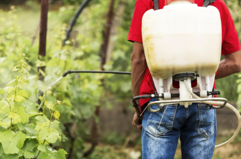 Estudo encontra 22 pesticidas ligados ao câncer de próstata