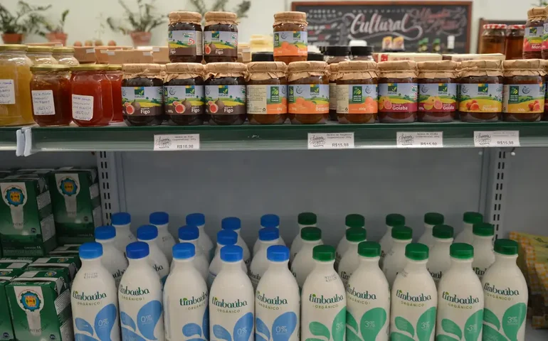 Qual é a bebida láctea com mais proteína? PROTESTE testou 29 marcas brasileiras, confira 