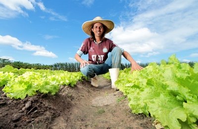 Programa de Fomento vai beneficiar famílias em Alagoas